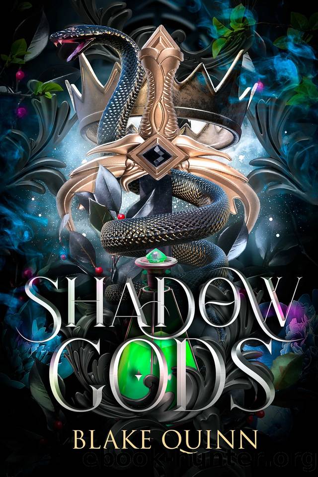 Shadow Gods: A Dark Paranormal Reverse Harem (Sins of Divinity Book 1) by Blake Quinn