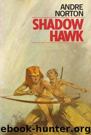 Shadow Hawk by Andre Norton