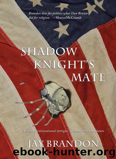 Shadow Knight's Mate by Jay Brandon