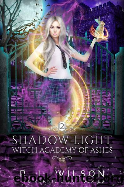 Shadow Light by R.L. Wilson