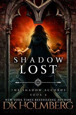 Shadow Lost (The Shadow Accords Book 4) by D.K. Holmberg