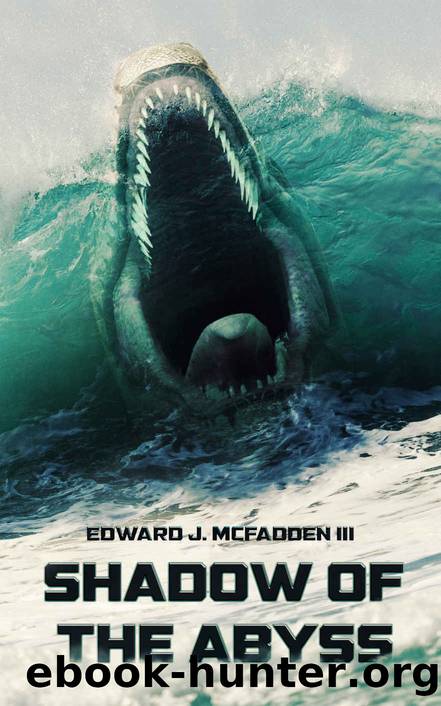 Shadow Of The Abyss by Edward J. McFadden III