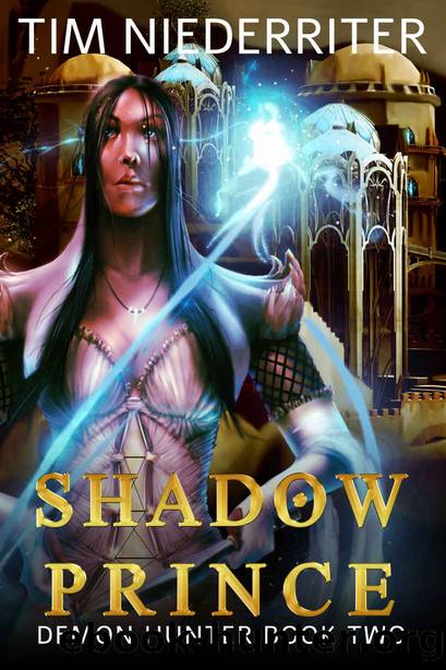 Shadow Prince by Tim Niederriter