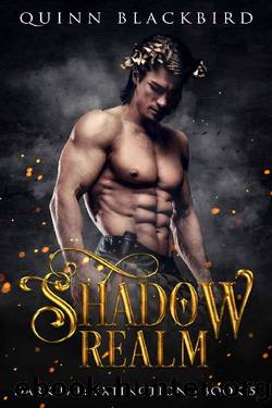 Shadow Realm (A Dark Paranormal Romance): Enemies to Lovers Romance (Dark Fae: Extinction Book 5) by Quinn Blackbird