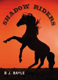 Shadow Riders by B.J. Bayle