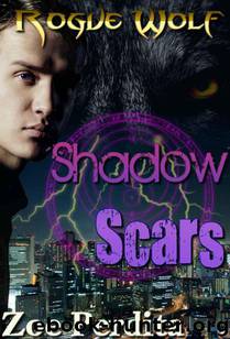 Shadow Scars by Perdita Zoe