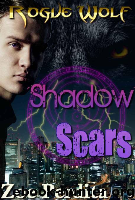 Shadow Scars: Rogue Wolf Book One (Haven City Series) by Perdita Zoe