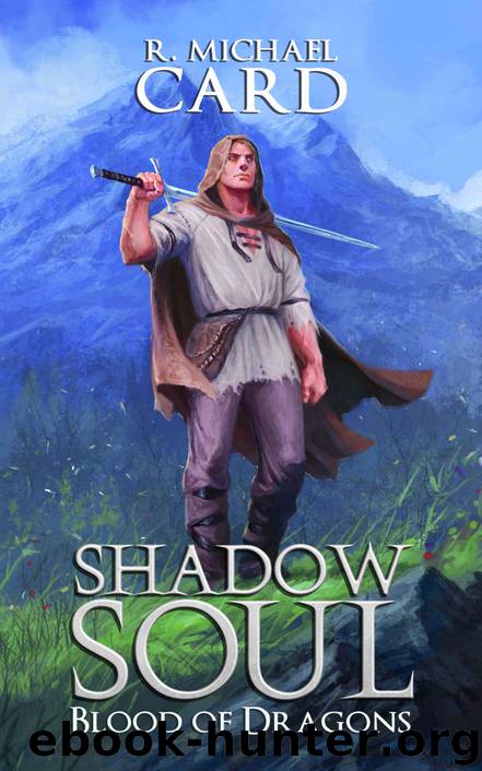 Shadow Soul by R Michael Card
