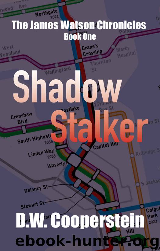 Shadow Stalker by D W Cooperstein