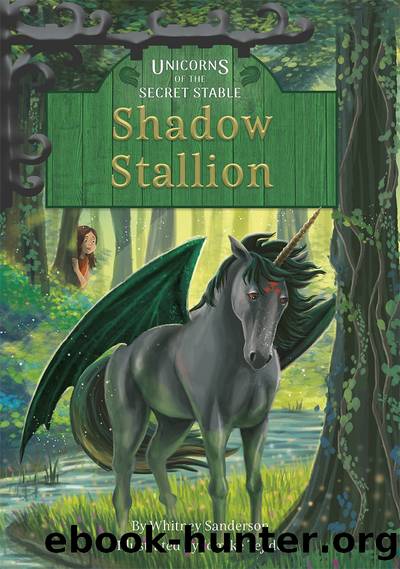 Shadow Stallion by Whitney Sanderson