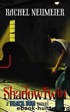 Shadow Twin by Rachel Neumeier