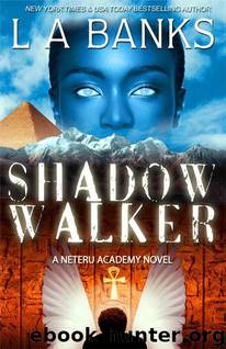 Shadow Walker (Neteru Academy Books) by Banks L.A