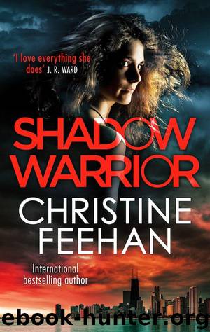 Shadow Warrior (The Shadow Series Book 4) by Feehan Christine