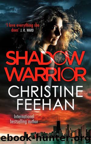 Shadow Warrior by Feehan Christine