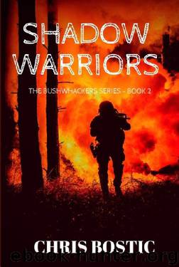 Shadow Warriors by Chris Bostic
