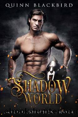 Shadow World: A Dark Paranormal Romance (Dark Fae: Extinction Book 4) by Quinn Blackbird