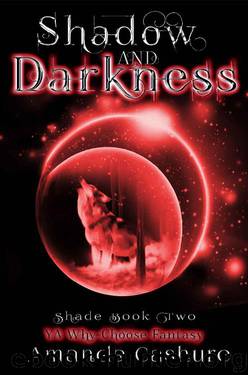Shadow and Darkness: YA Why Choose Fantasy (Shadows and Shade Series Book 2) by Amanda Cashure