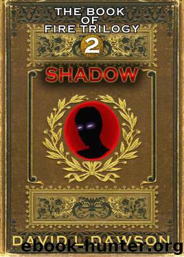 Shadow by David L Dawson