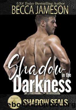 Shadow in the Darkness by Becca Jameson & Shadow Sisters