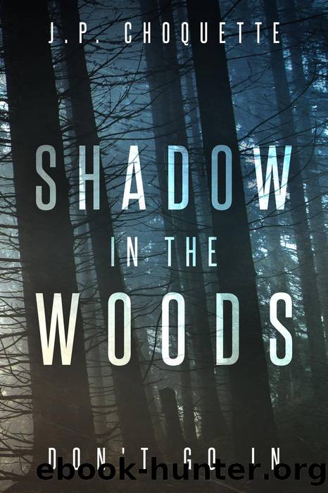 Shadow in the Woods by J.P. Choquette