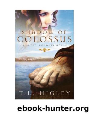 Shadow of Colossus by T. L. Higley