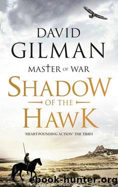 Shadow of the Hawk (Master of War) by David Gilman
