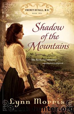 Shadow of the Mountains by Lynn Morris