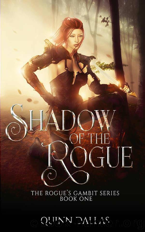 Shadow of the Rogue: A LitRPG Series (The Rogue's Gambit Book 1) by Quinn Dallas