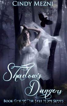 Shadow's Dangers by Mezni Cindy