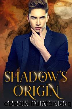 Shadow's Origin: A Demon Magic Novella by Alice Winters