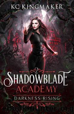 Shadowblade Academy 2: Darkness Rising by KC Kingmaker