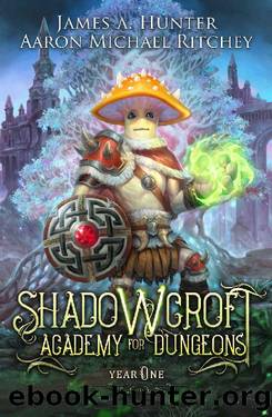Shadowcroft Academy For Dungeons: Year One by James Hunter & Aaron Michael Ritchey
