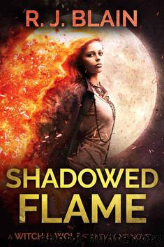 Shadowed Flame by RJ Blain