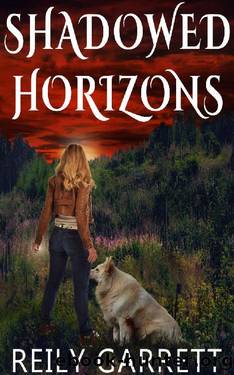 Shadowed Horizons (The Guardians Book 1) by Reily Garrett
