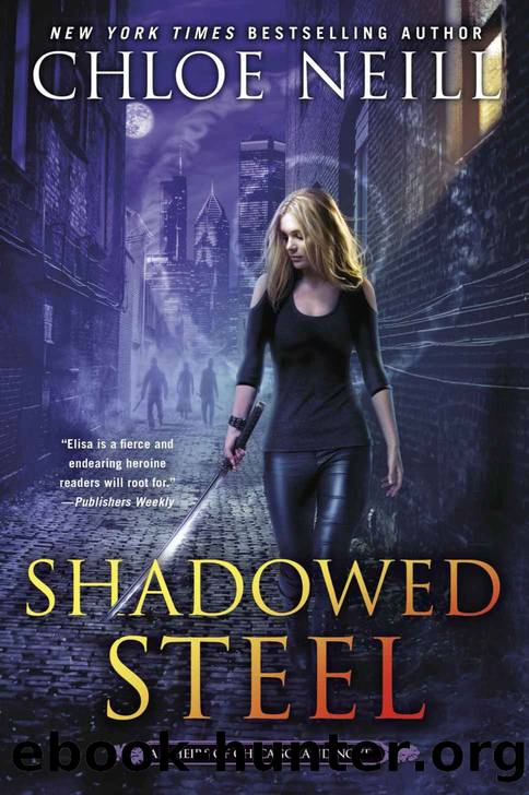 Shadowed Steel by Neill Chloe