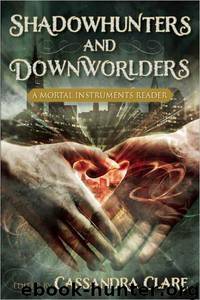 Shadowhunters and Downworlders: A Mortal Instruments Reader by Clare Cassandra & Black Holly & Milford Kate & Peterfreund Diana & Ryan Sara & Tracey Scott & Wasserman Robin & Blake Kendare & Bond Enda & Brennan Sarah Rees & Caine Rachel & Cross Sarah & Garcia Kami & Hodkin Michelle & Li Kelly