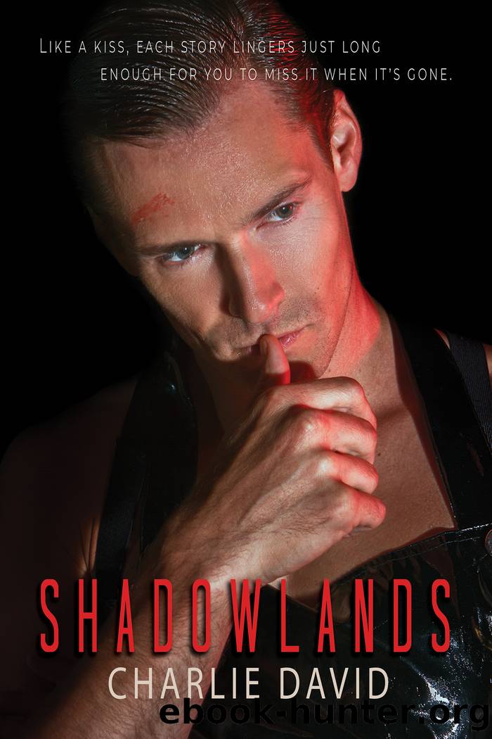 Shadowlands by Charlie David
