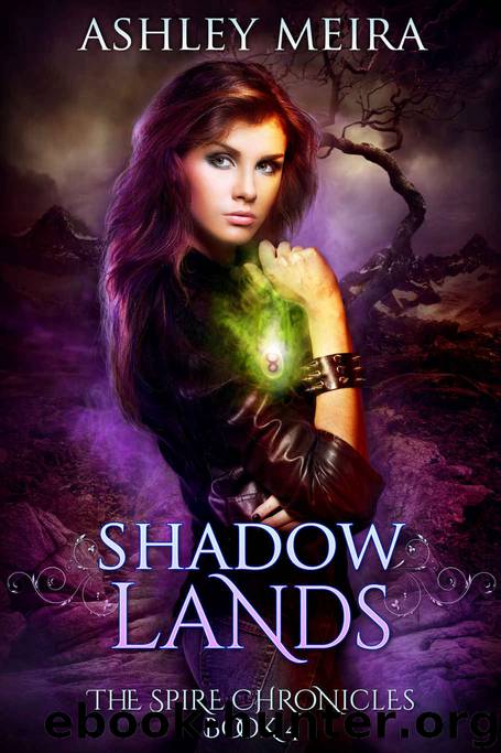Shadowlands: a New Adult Urban Fantasy Novel (The Spire Chronicles Book 4) by Ashley Meira