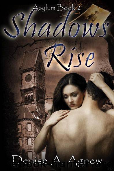 Shadows Rise: Asylum Trilogy #2 by Denise A. Agnew