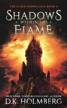 Shadows Within the Flame by D. K. Holmberg