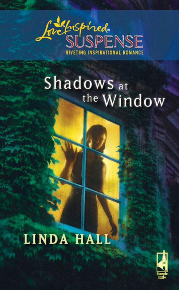 Shadows at the Window by Linda Hall