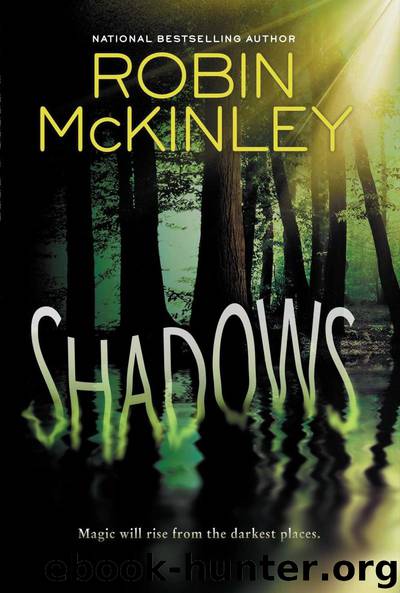 Shadows by Robin Mckinley