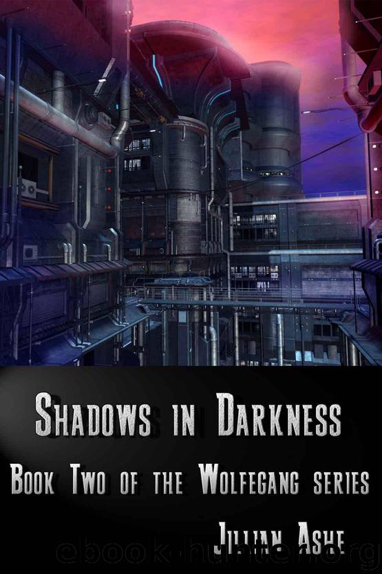 Shadows in Darkness (the Wolfegang series Book 2) by Jillian Ashe