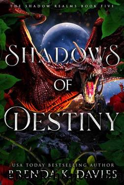 Shadows of Destiny (The Shadow Realms Book 5) by Brenda K. Davies