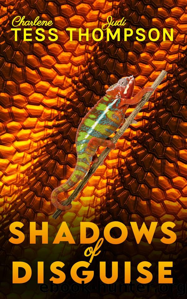 Shadows of Disguise: A Gripping Serial Killer Thriller by Charlene Tess & Judi Thompson