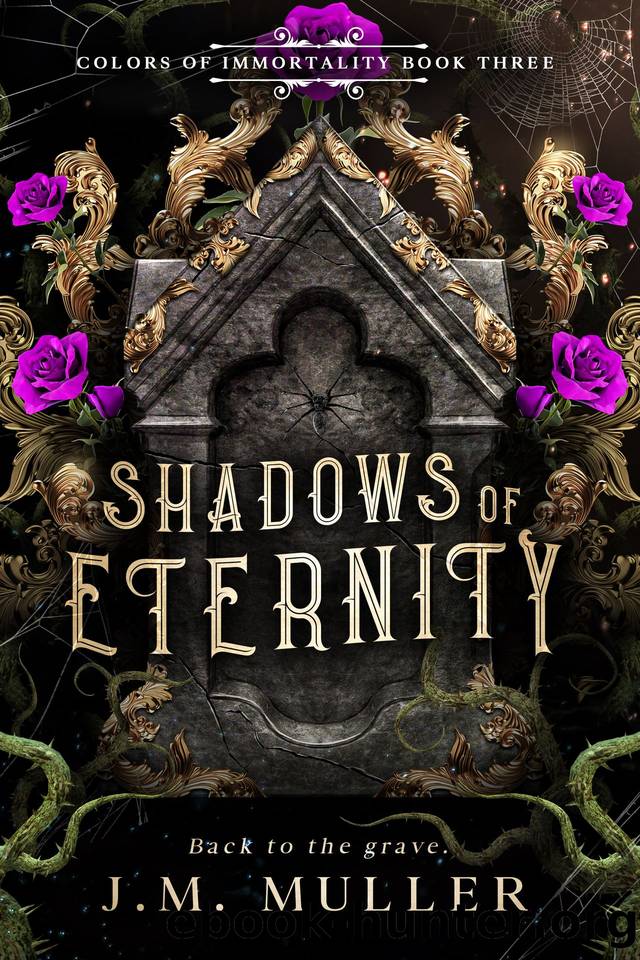 Shadows of Eternity by Muller J.M