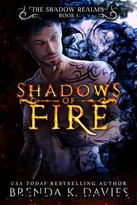Shadows of Fire (The Shadow Realms, Book 1) by Brenda K. Davies