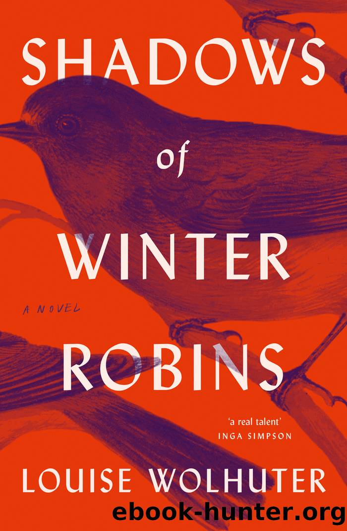 Shadows of Winter Robins by Louise Wolhuter