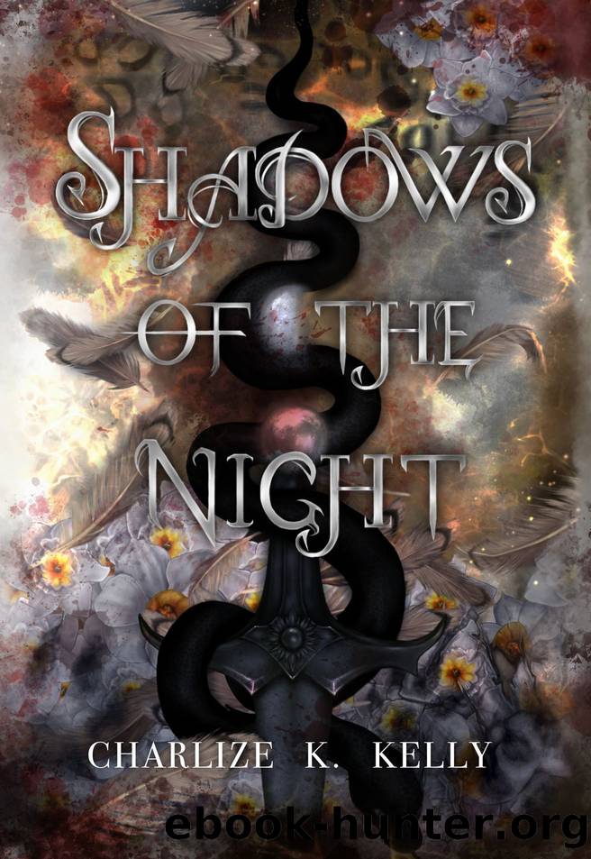 Shadows of the Night (Shadows of the Night Duet Book 1) by K. Kelly Charlize