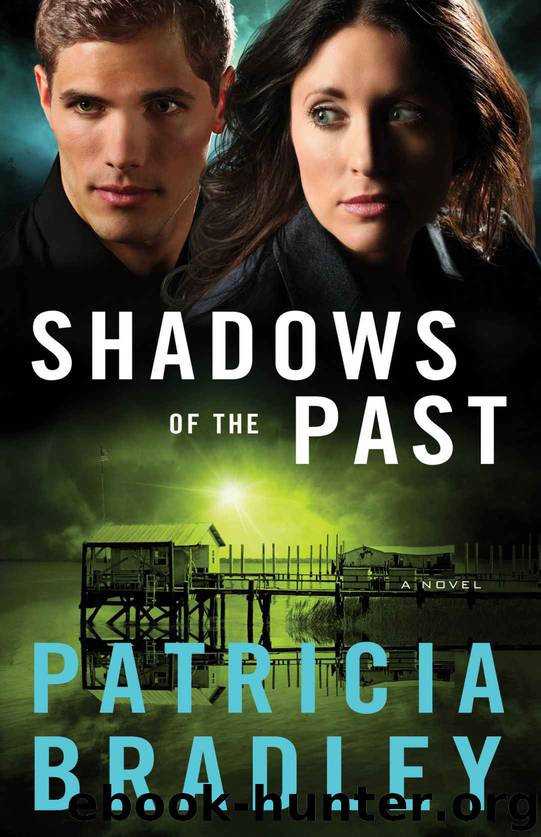 Shadows of the Past (Logan Point Book #1): A Novel by Bradley Patricia